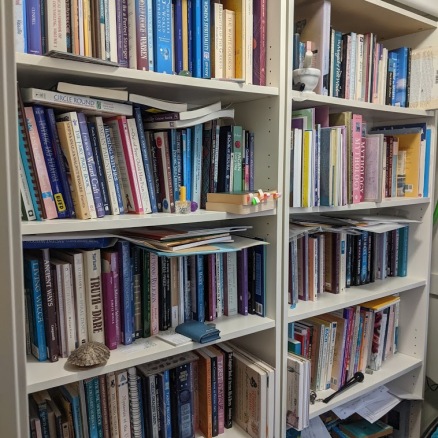 shelves with many books 