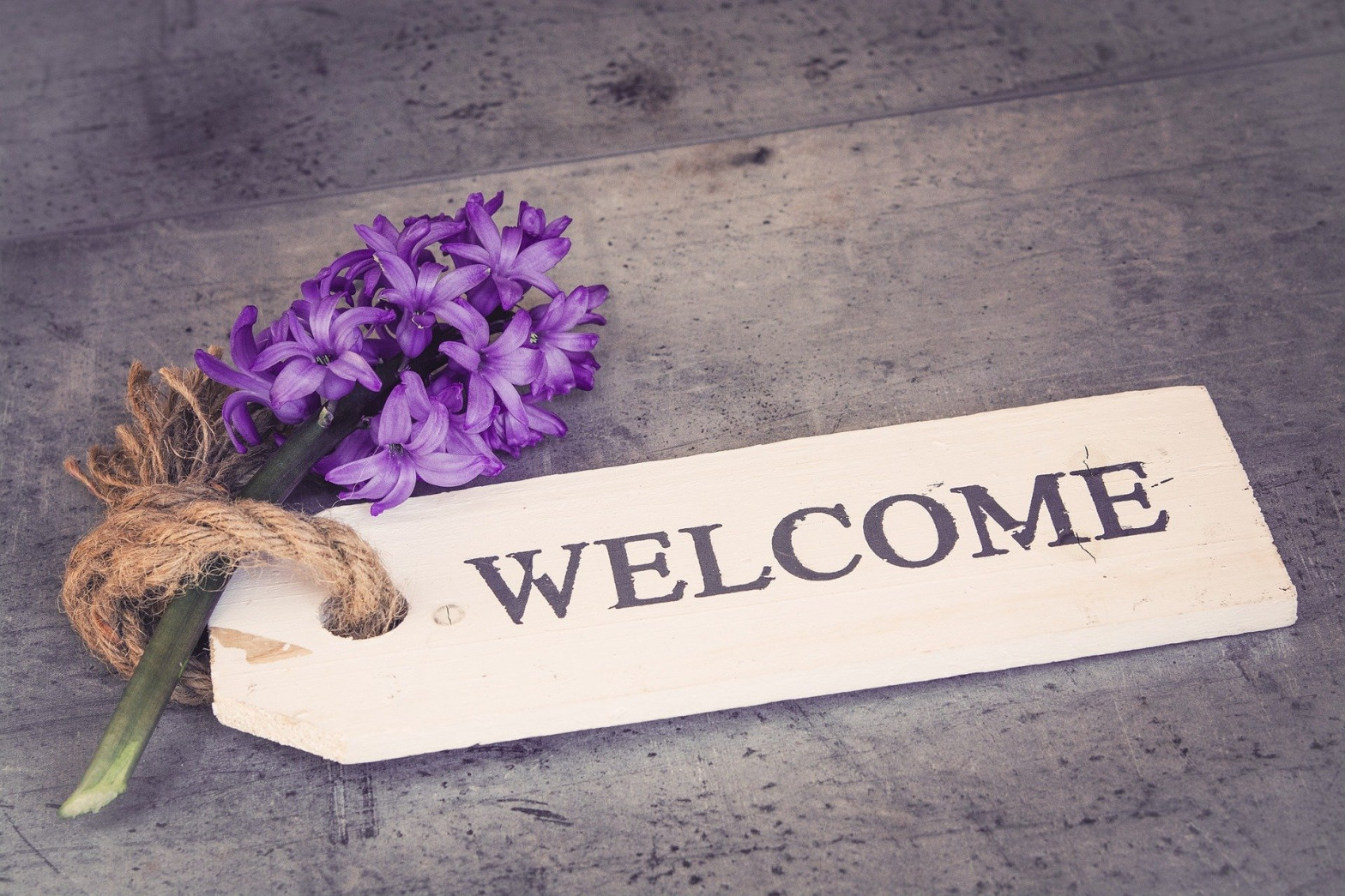 a wooden sign that says welcome, tied to a branch of purple hyacinth flowers