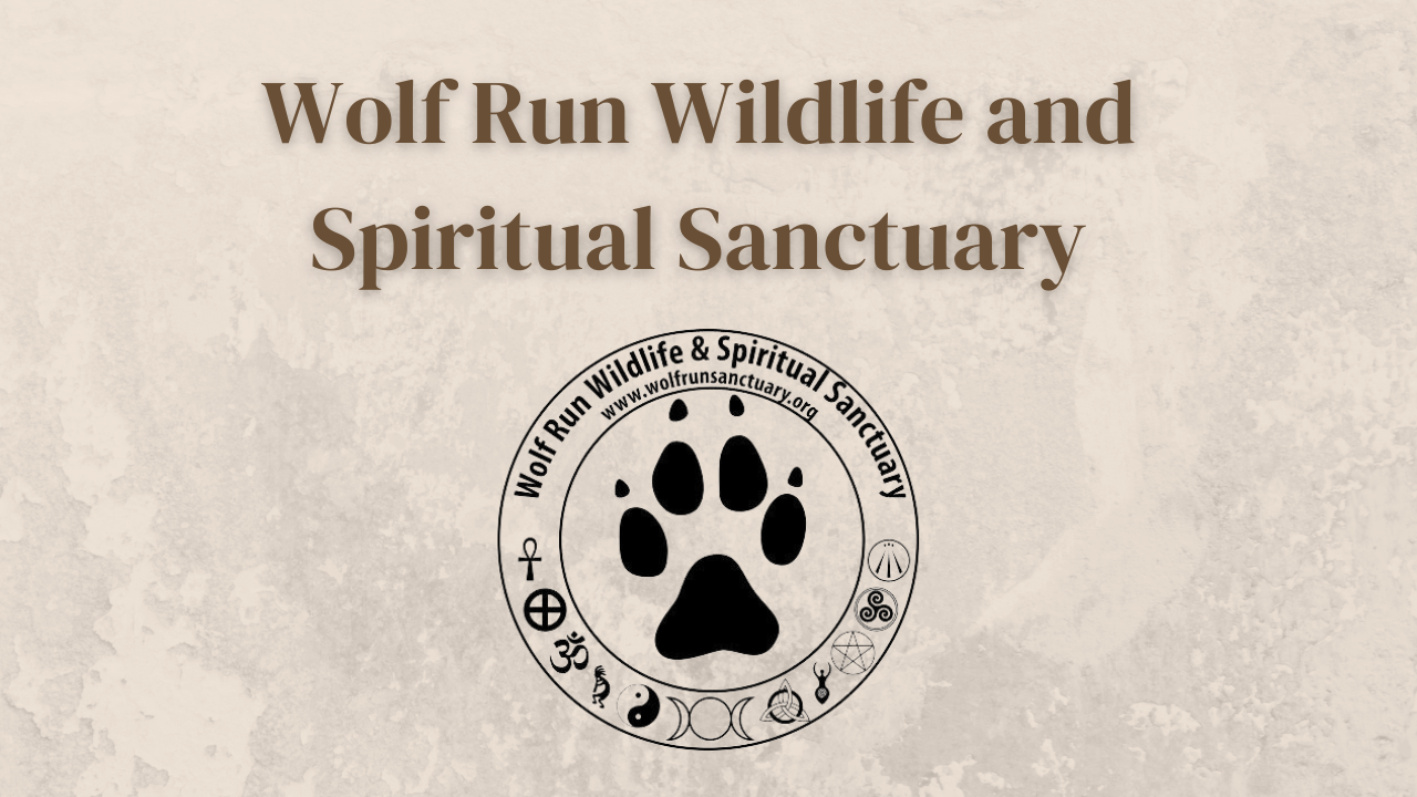 Wolf Run Wildlife and Spiritual Sanctuary Logo and Name on a pale marbled background