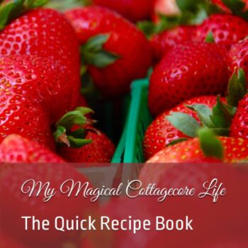 The quick recipe book